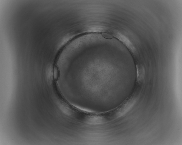 X0000111860348200908201302