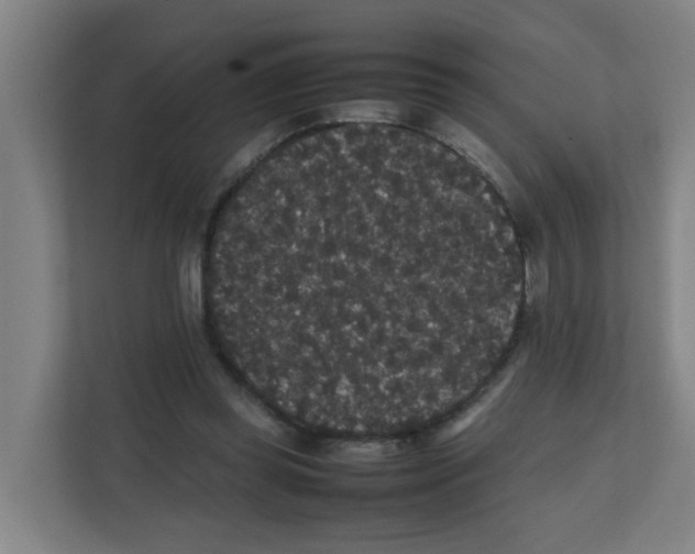 X0000111860349200908201302