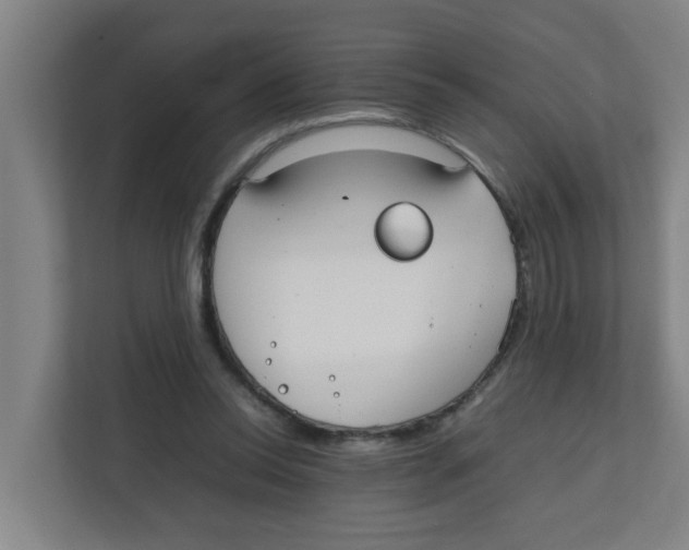 X0000111860350200908201302