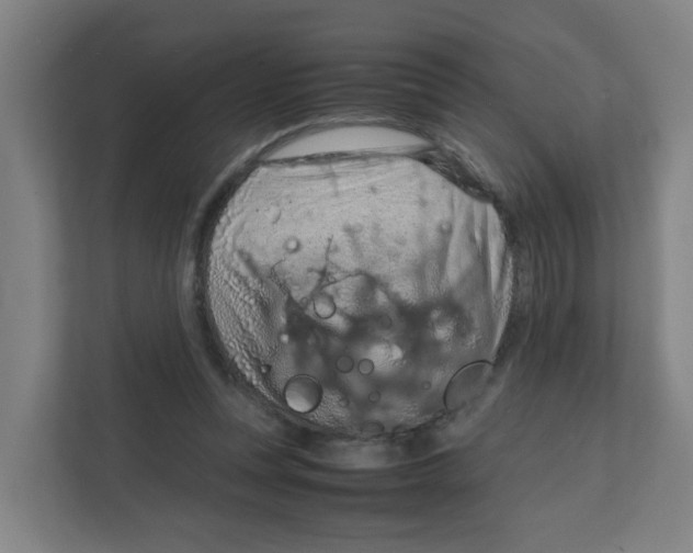 X0000111860351200908201302