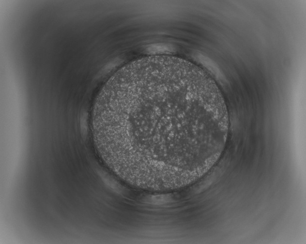 X0000111860353200908201302