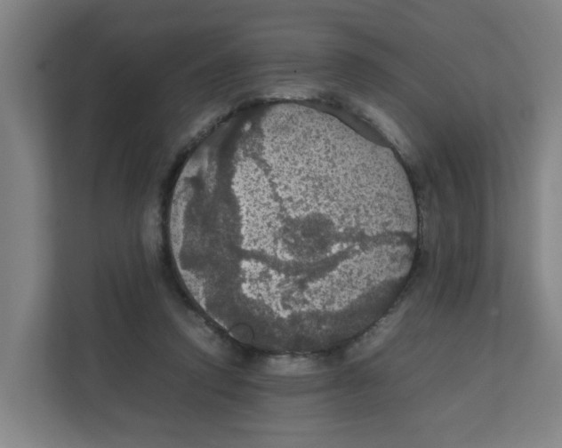 X0000111860354200908201302