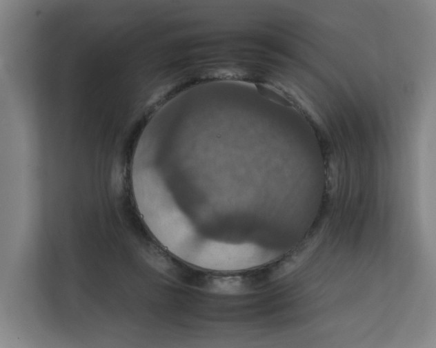 X0000111860355200908201302
