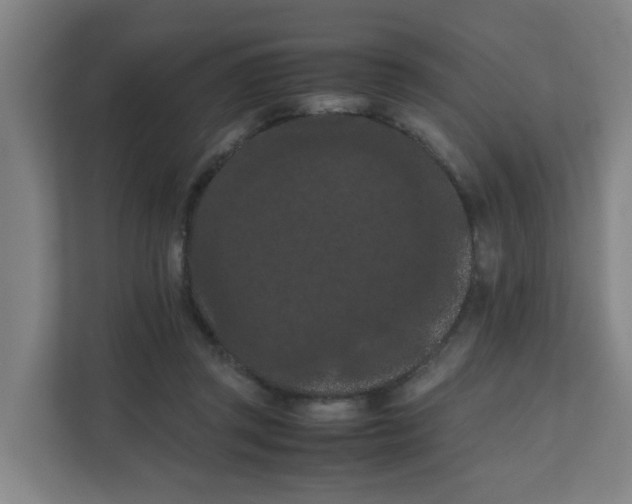 X0000111860357200908201302