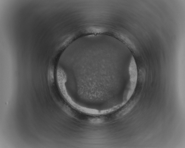 X0000111860358200908201302
