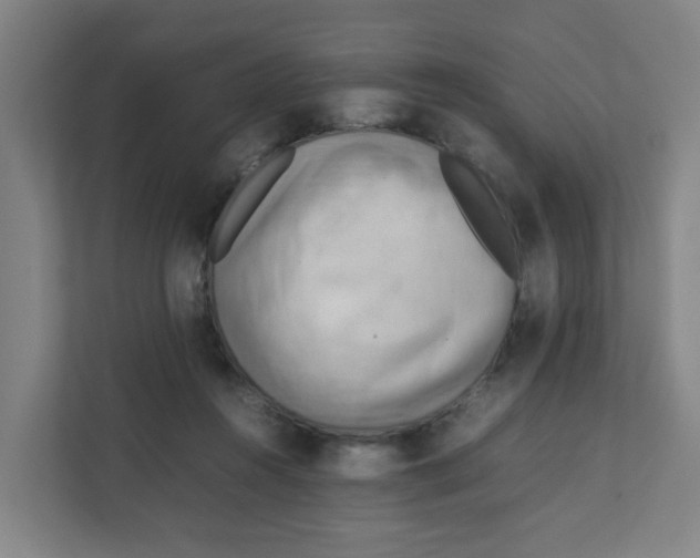 X0000111860360200908201302