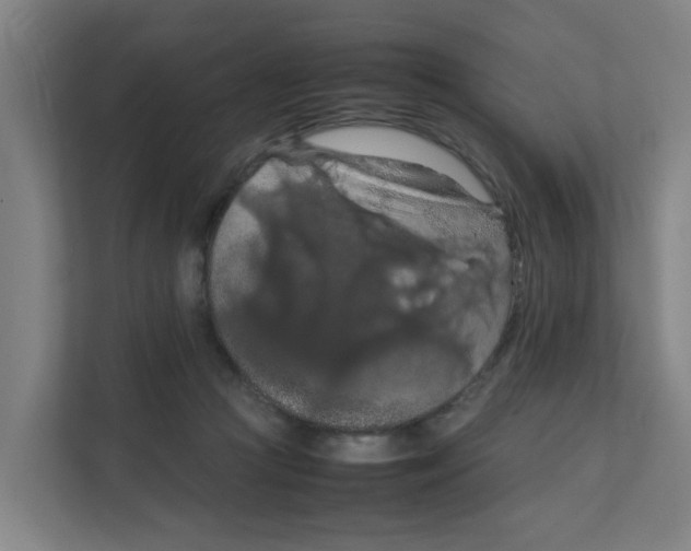 X0000111860361200908201302