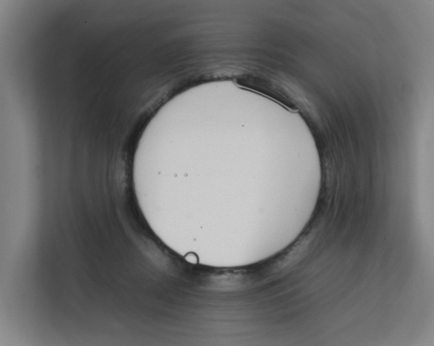 X0000111860362200908201302