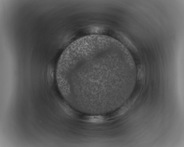 X0000111860363200908201302