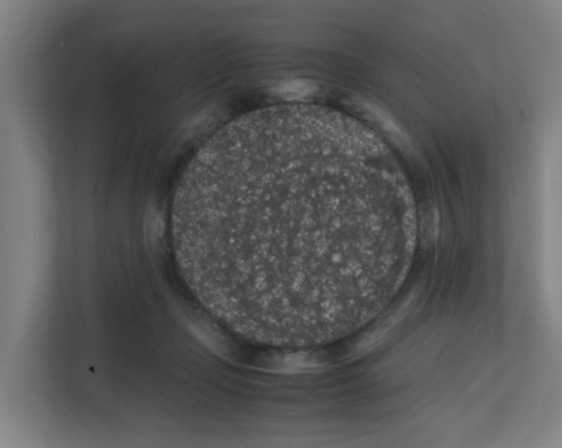 X0000111860365200908201302