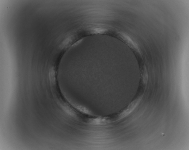 X0000111860366200908201302