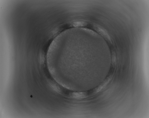 X0000111860367200908201302