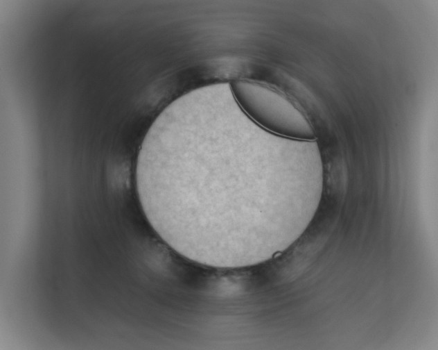 X0000111860368200908201302
