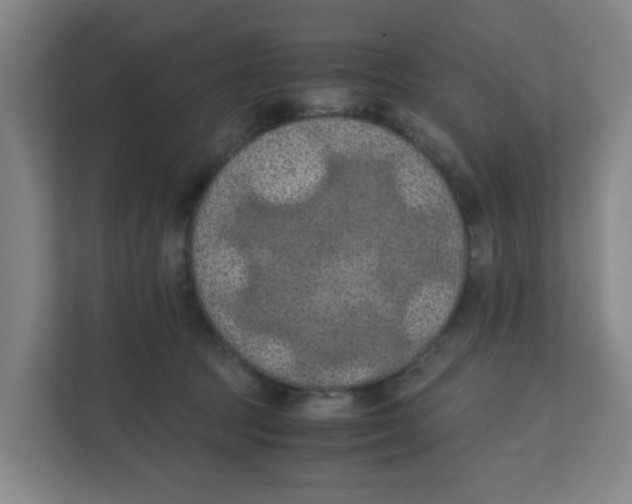 X0000111860369200908201302