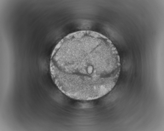 X0000111860370200908201302