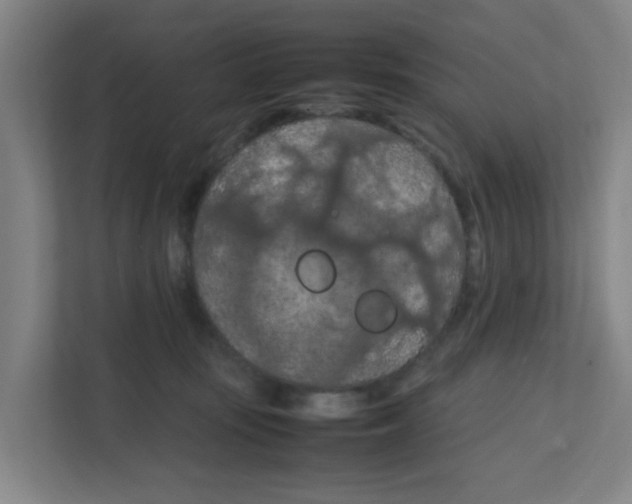 X0000111860371200908201302