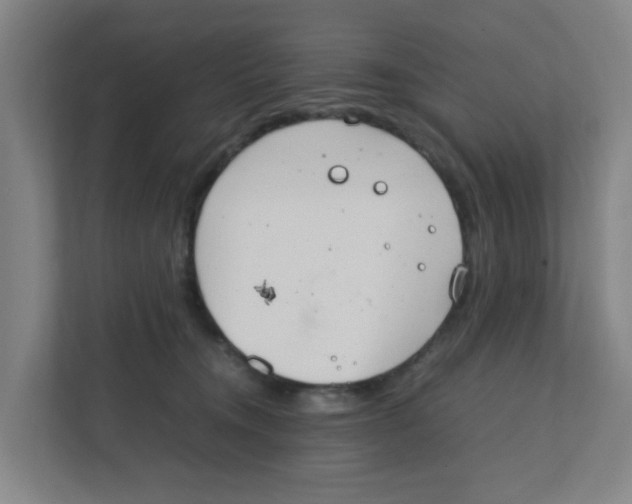 X0000111860372200908201302