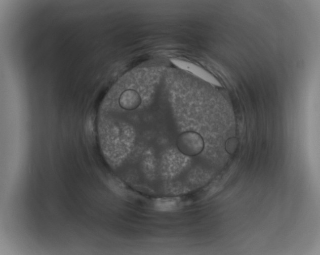 X0000111860373200908201302