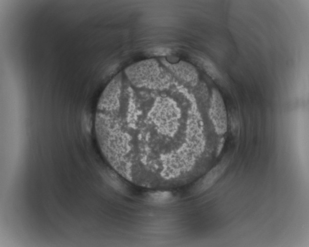 X0000111860374200908201302