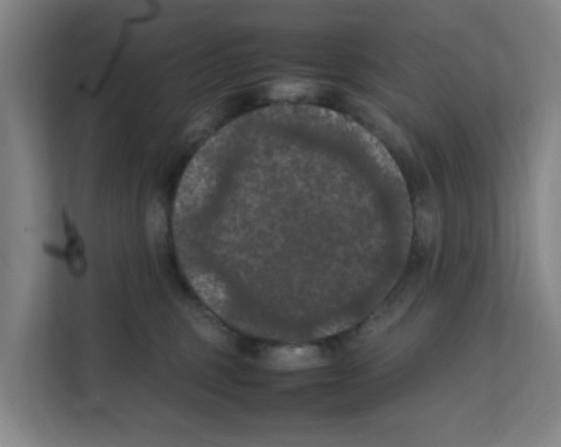 X0000111860375200908201302