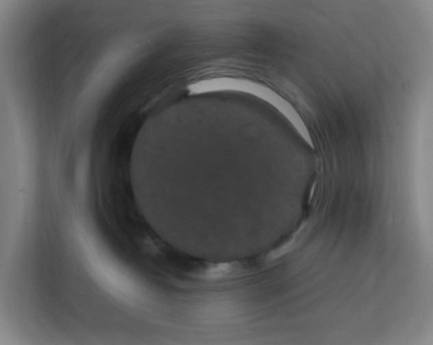 X0000111860382200908201302