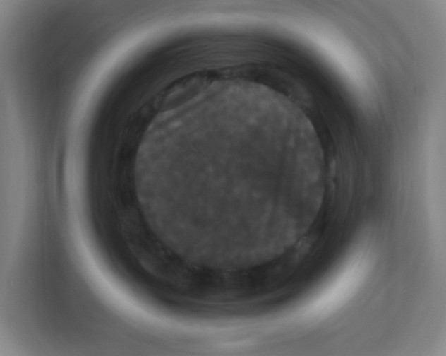 X0000111860383200908201302