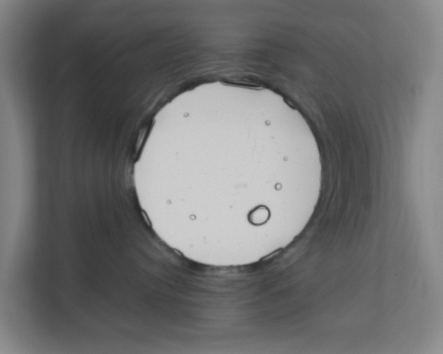 X0000111860384200908201302