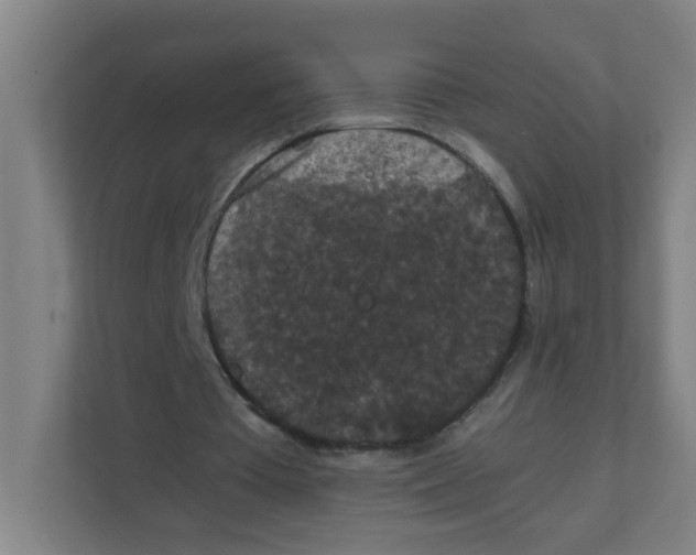 X0000111860385200908201302