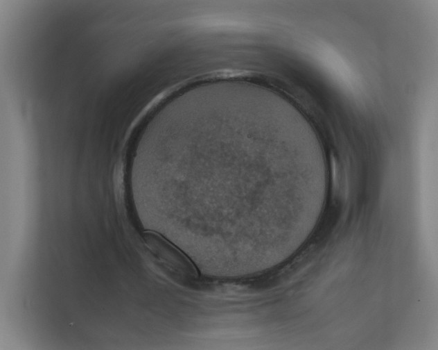 X0000111860387200908201302