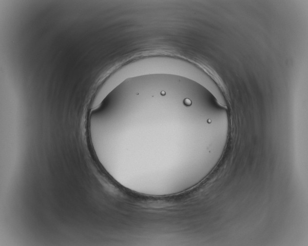 X0000111860389200908201302