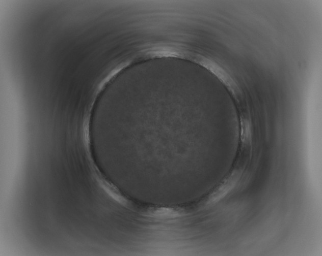 X0000111860390200908201302
