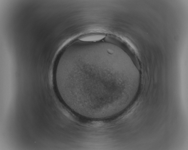 X0000111860391200908201302
