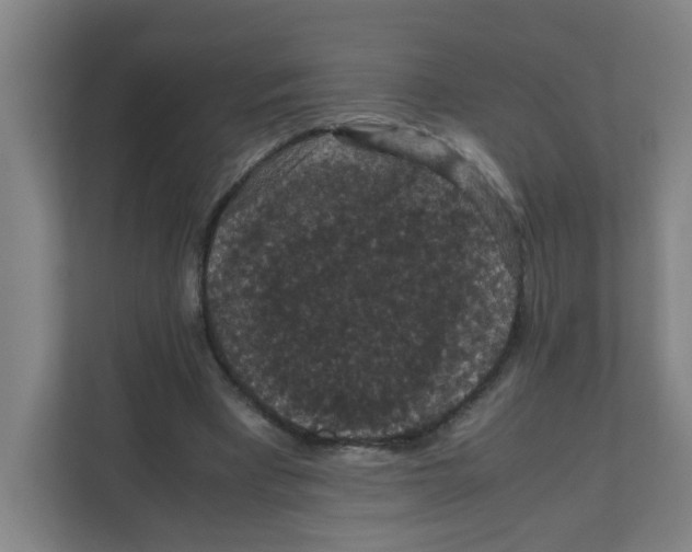 X0000111860393200908201302