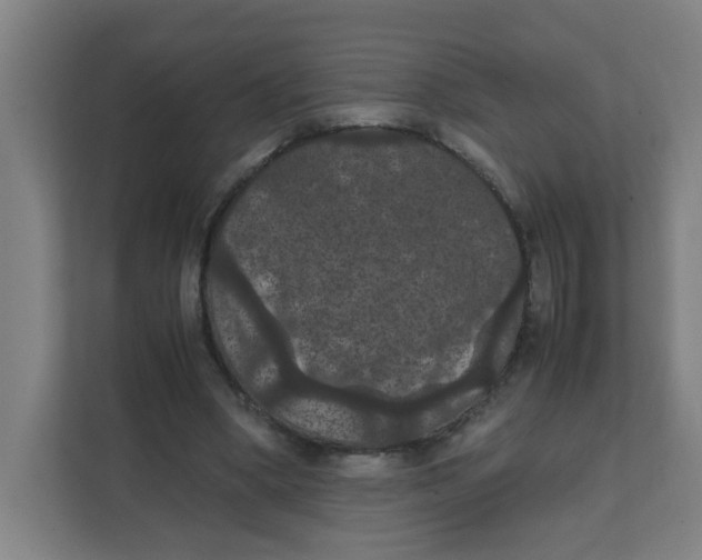 X0000111860394200908201302