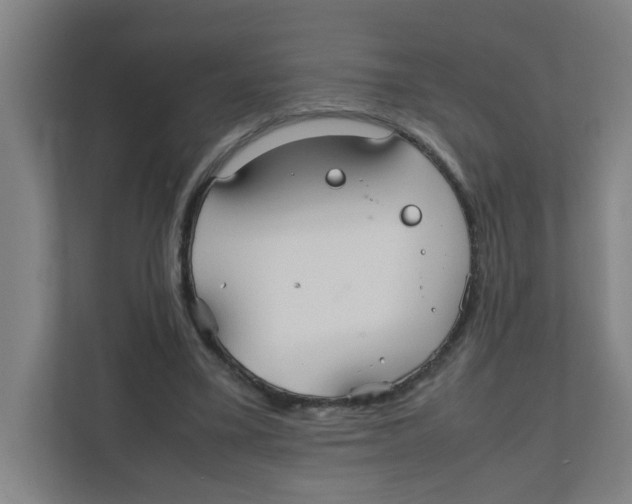 X0000111860395200908201302