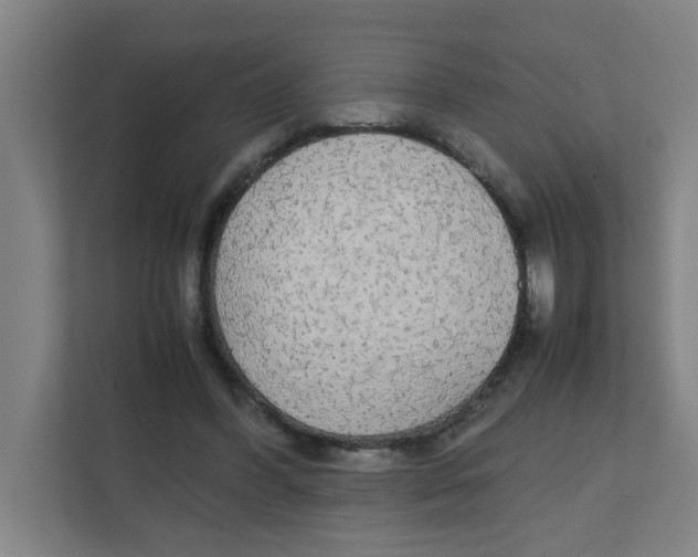 X0000111860396200908201302
