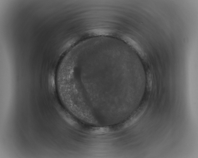 X0000111860398200908201302
