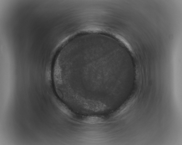 X0000111860399200908201302