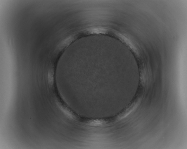 X0000111860402200908201302
