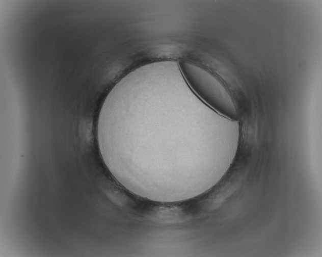 X0000111860403200908201302