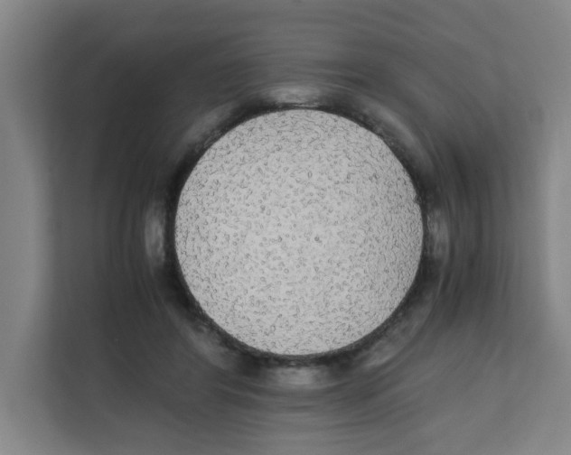 X0000111860404200908201302