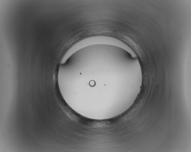 X0000111860405200908201302