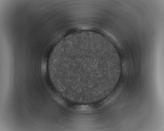 X0000111860406200908201302