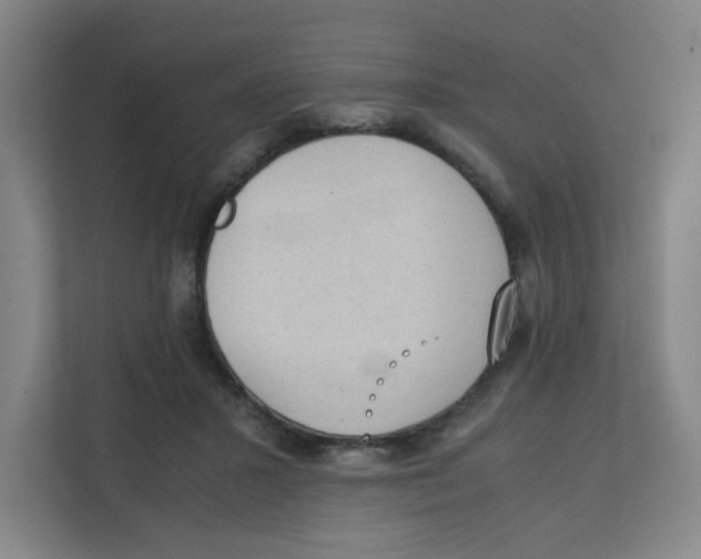 X0000111860407200908201302