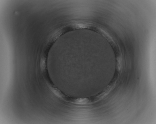 X0000111860410200908201302