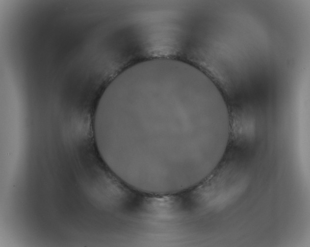 X0000111860411200908201302