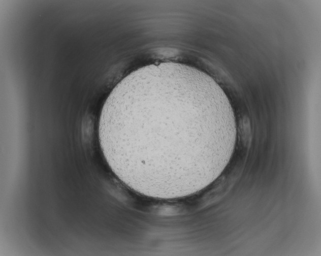 X0000111860412200908201302