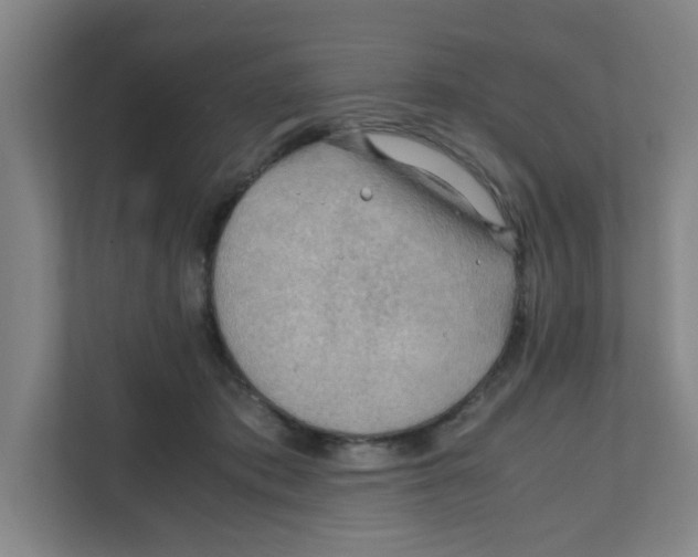X0000111860413200908201301