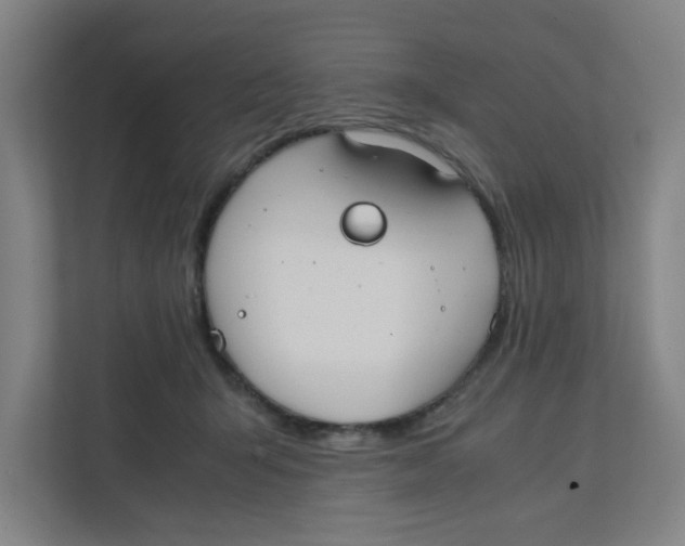 X0000111860415200908201301
