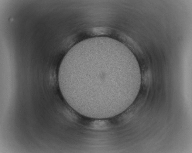 X0000111860418200908201301
